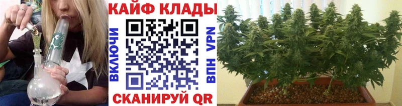 Наркошоп Гремячинск Галлюциногенные грибы  ГАШ  Cocaine 