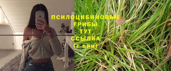 круглые Шадринск