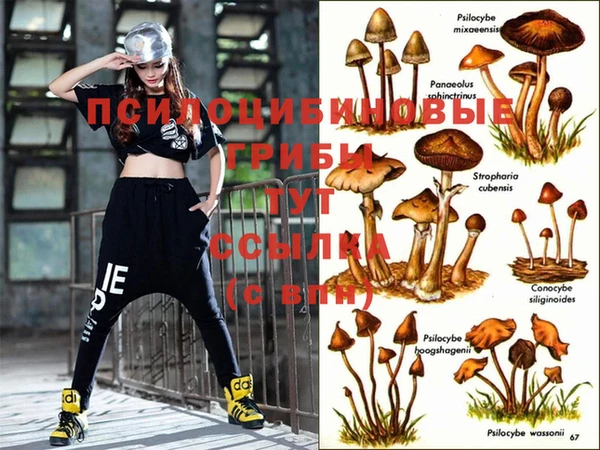 MESCALINE Вяземский